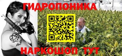 дмт Гатчина